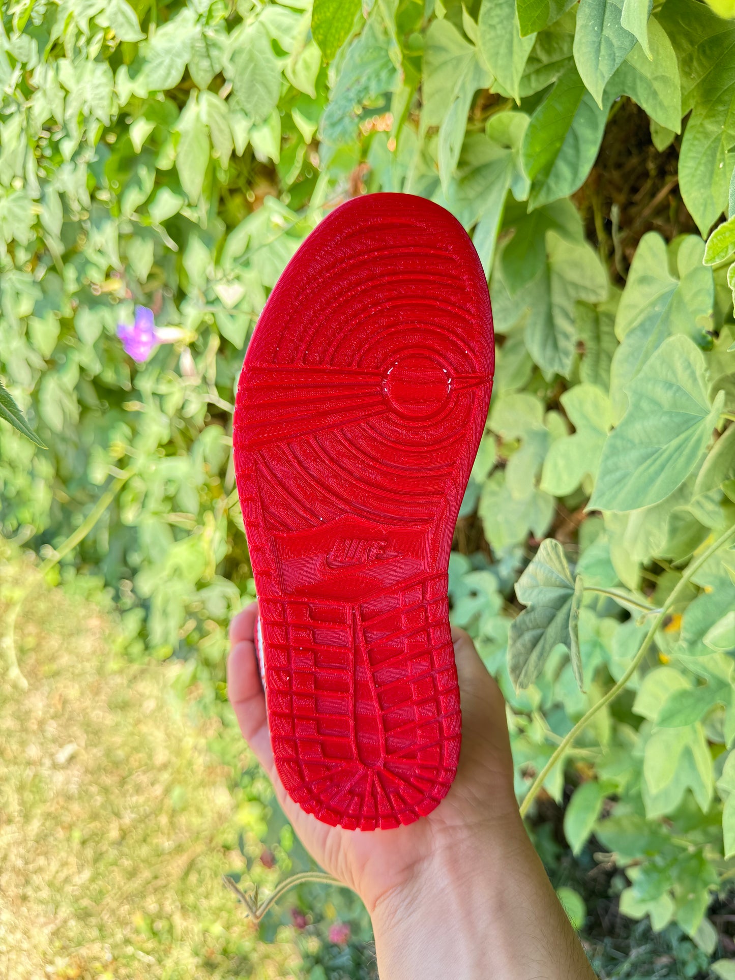 3D printed AJ1 Chicago Planter