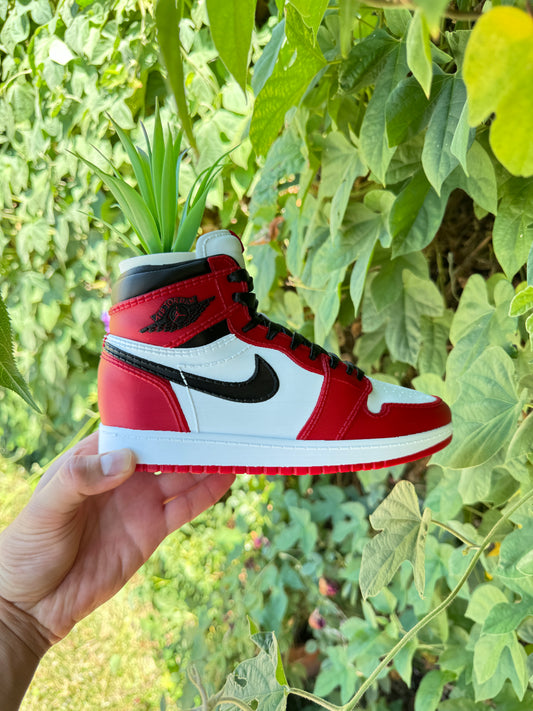 3D printed AJ1 Chicago Planter